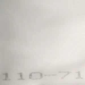 110S SS 65 inch Screen Mesh